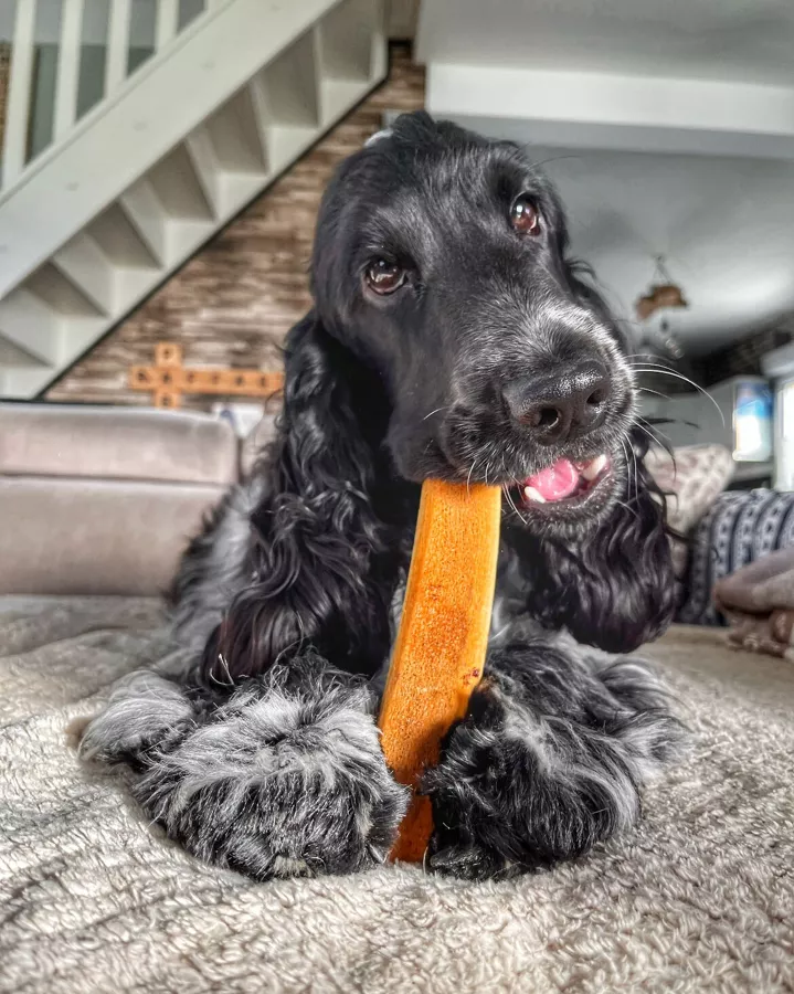 Asta de ciervo ahumada con jamón y partida - Imagen 6