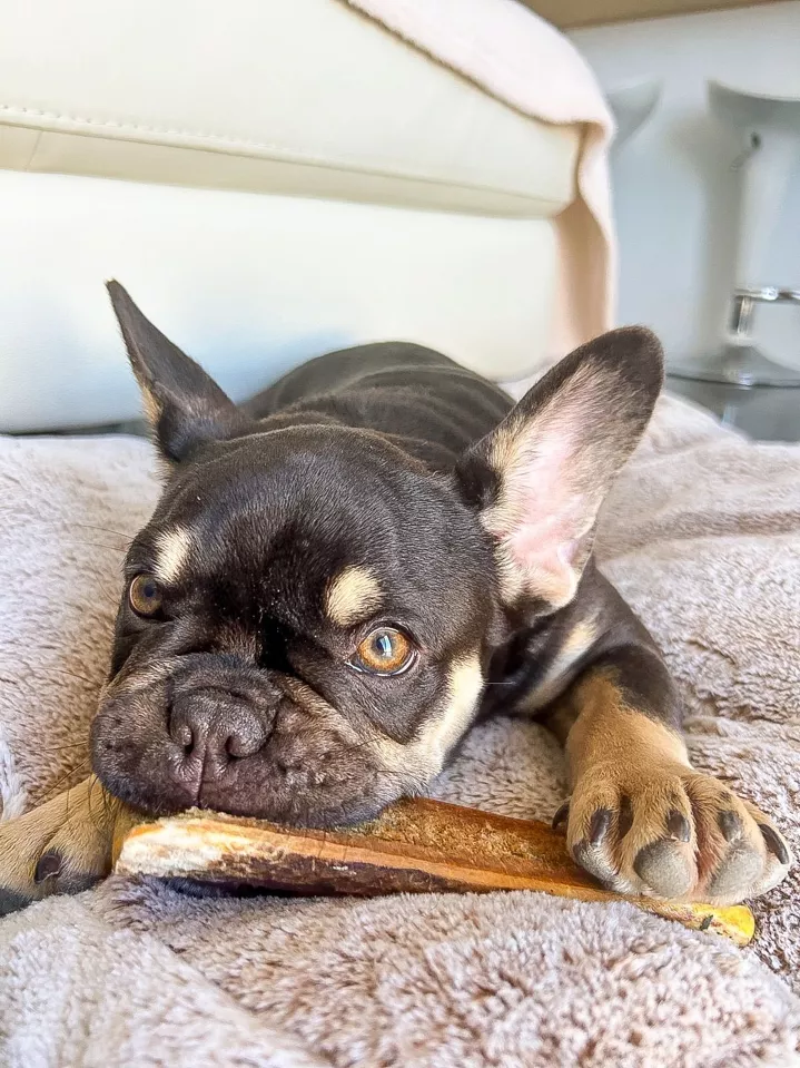 Asta de ciervo ahumada con jamón y partida - Imagen 5