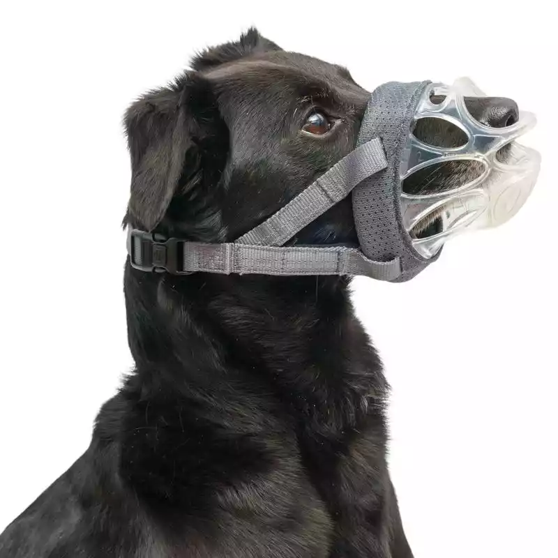 Bozal Baskerville Invisa - Imagen 4