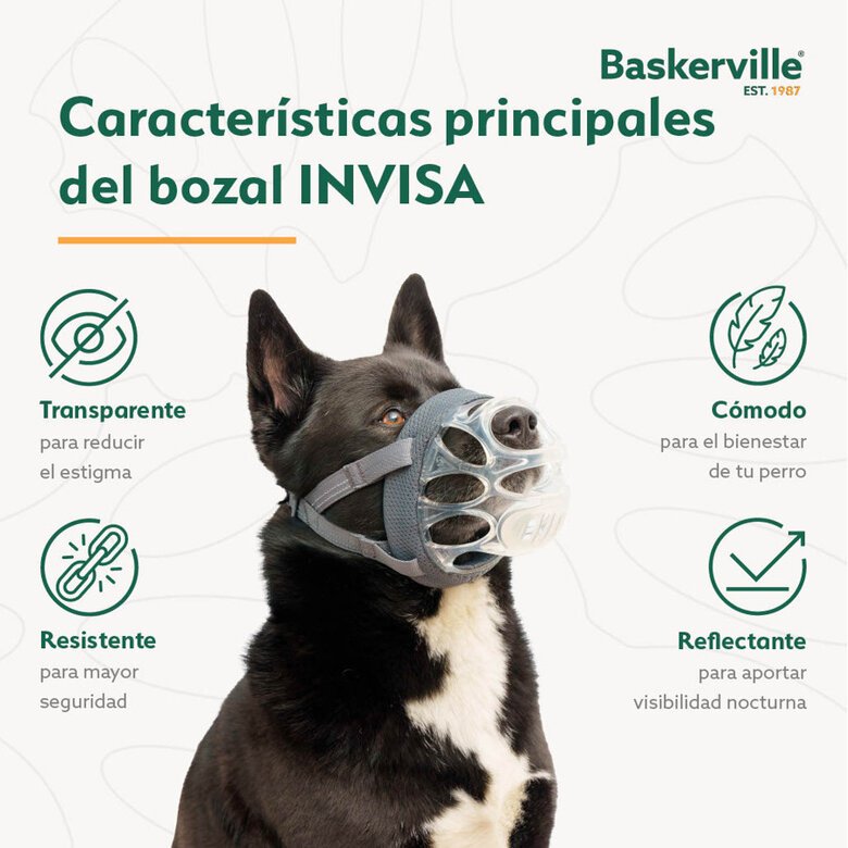Bozal Baskerville Invisa - Imagen 6