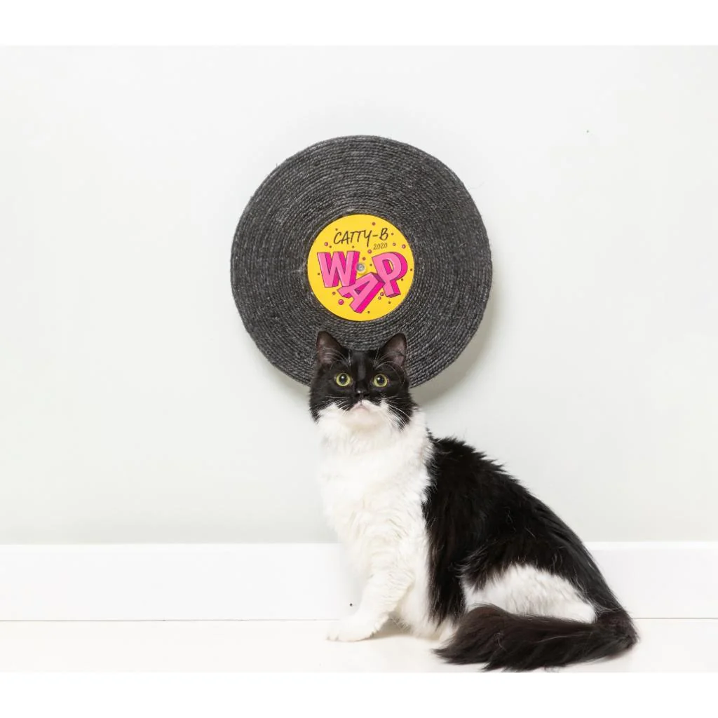 Rascador Record Cat Catty-B - Imagen 2